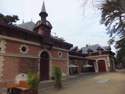 Les Traigniers au bois de Boulogne le 17 mars 2013