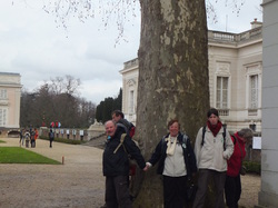 Les Traigniers au bois de Boulogne le 17 mars 2013