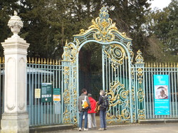 Les Traigniers au bois de Boulogne le 17 mars 2013