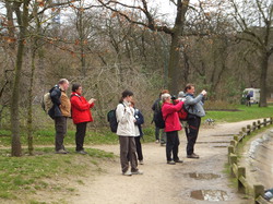 Les Traigniers au bois de Boulogne le 17 mars 2013
