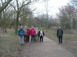 Les Traigniers au bois de Boulogne le 17 mars 2013
