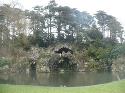 Les Traigniers au bois de Boulogne le 17 mars 2013