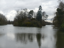 Les Traigniers au bois de Boulogne le 17 mars 2013