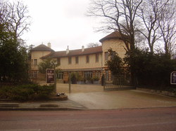 Les Traigniers au bois de Boulogne le 17 mars 2013