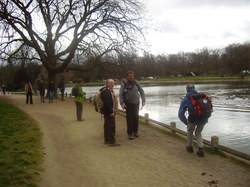 Les Traigniers au bois de Boulogne le 17 mars 2013