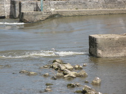 Randonnée de 10 km à Veretz 37 33 randonneurs