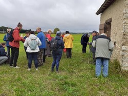 03/10/2021 - Rando automne et pot-au-feu