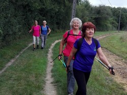 Activité Marche Nordique