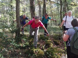 Activité Marche Nordique