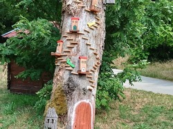 Bassin d'Arcachon_ 7 au 09/06/2025