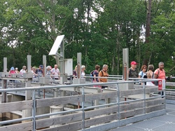 Bassin d'Arcachon_ 7 au 09/06/2025