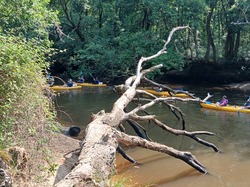 Bassin d'Arcachon_ 7 au 09/06/2025