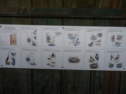 Bassin d'Arcachon_ 7 au 09/06/2025