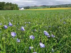 Bueil-en-Touraine 14/05/2023