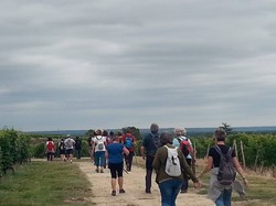 CANDES SAINT MARTIN 04/07/2020