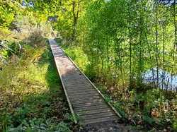 Charentilly - 03/11/2024