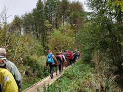 Charentilly - 03/11/2024