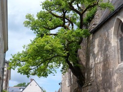 Cheillé - randonnée barbecue