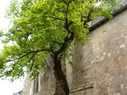 Cheillé - randonnée barbecue