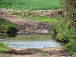 Chemillé-sur-Dême - reconnaissance