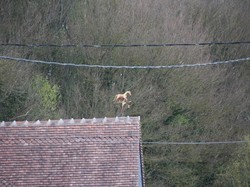Chemillé-sur-Dême - reconnaissance