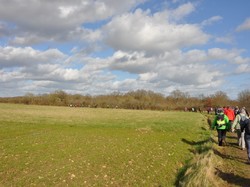 Cinq-Mars-la-Pile 19/02/2022