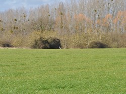 Cinq-Mars-la-Pile 19/02/2022