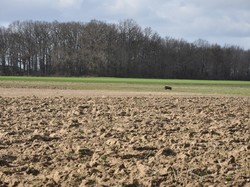 Cinq-Mars-la-Pile 19/02/2022