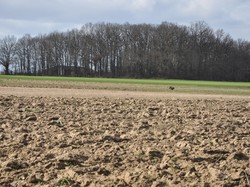 Cinq-Mars-la-Pile 19/02/2022