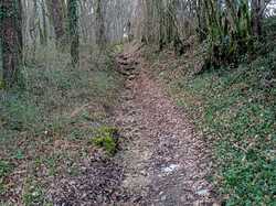 Cinq-Mars-la-Pile 19/02/2022