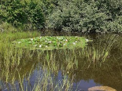 CLERE-LES-PINS semi-nocturne 19/06/2021