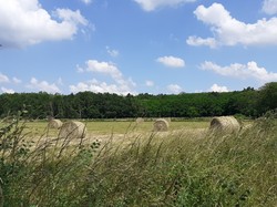 CLERE-LES-PINS semi-nocturne 19/06/2021