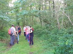 CLERE-LES-PINS semi-nocturne 19/06/2021