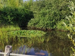 CLERE-LES-PINS semi-nocturne 19/06/2021