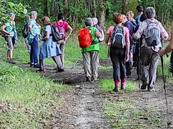 CLERE-LES-PINS semi-nocturne 19/06/2021