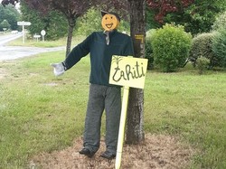 CLERE-LES-PINS semi-nocturne 19/06/2021