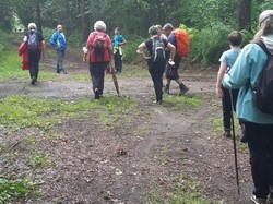 CLERE-LES-PINS semi-nocturne 19/06/2021