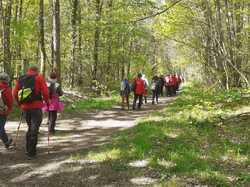Cléré-les-Pins 20/04/2024