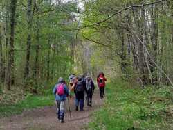 Cléré-les-Pins 20/04/2024