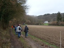 Randonnée à Cravant les Coteaux