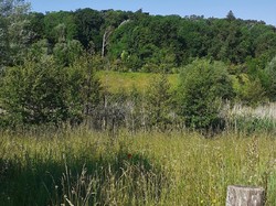 FONDETTES 06/06/2021