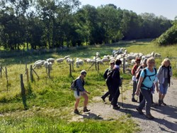 FONDETTES 06/06/2021