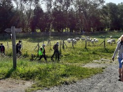 FONDETTES 06/06/2021