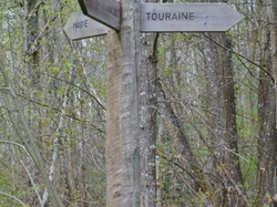 La Chapelle aux Choux (72)