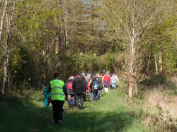 La Chapelle aux Choux (72)