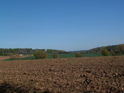 La Chapelle aux Choux (72)