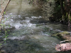 La Chapelle aux Choux (72)