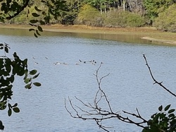 LE LOUROUX - randonnée du 21/10/2017