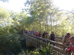 LE LOUROUX - randonnée du 21/10/2017