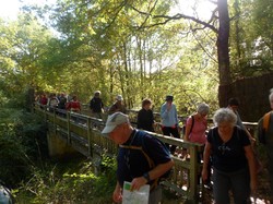 LE LOUROUX - randonnée du 21/10/2017
